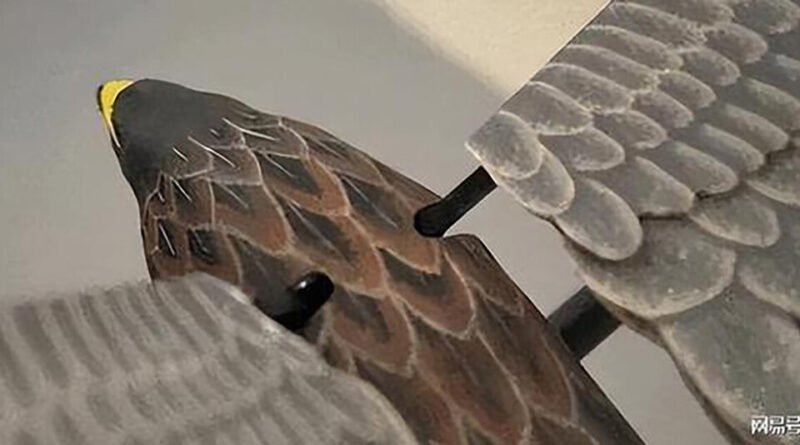 Pesquisadores chineses criam drones com asas batentes em substituição às hélices