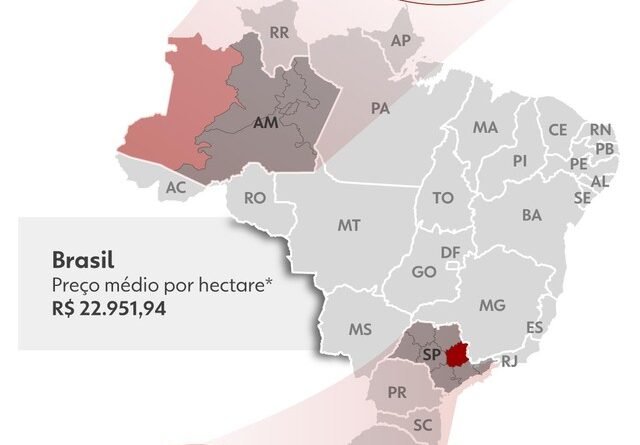 Preço da terra no Brasil oscila entre R$ 1 mil e R$ 2 milhões por hectare e fatores que influenciam essa variação