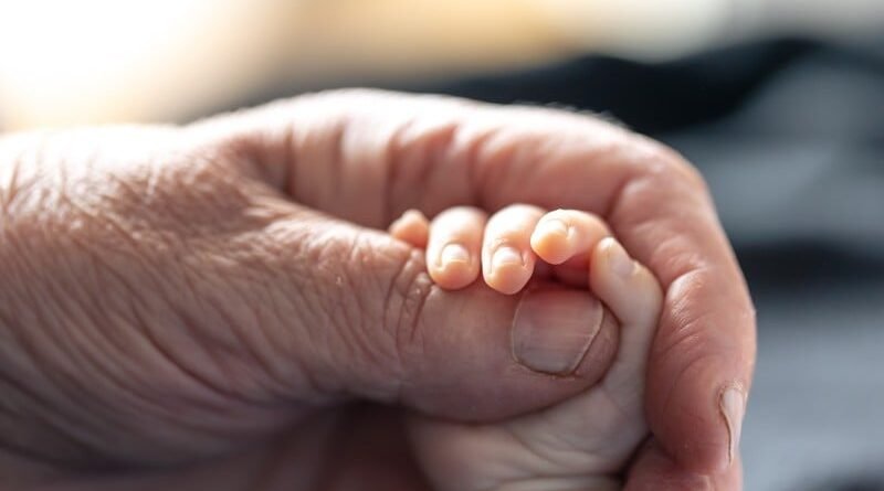 Projeto propõe salário-maternidade para avós e irmãos em caso de falecimento