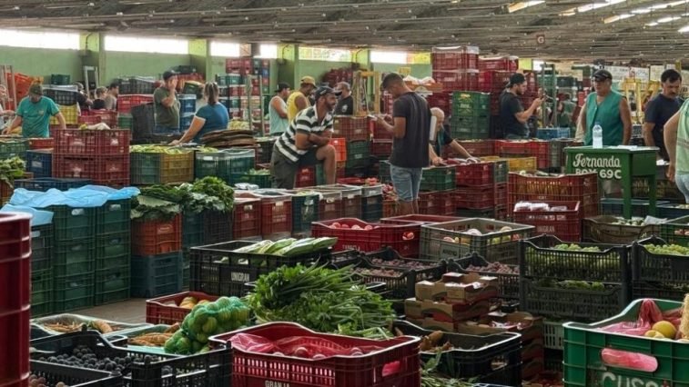 Rio Grande do Sul alcança recorde histórico na Ceasa com superávit de R$ 3,7 milhões em 2025