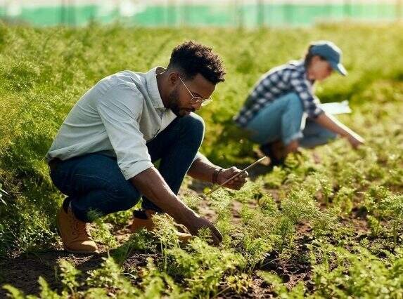 Rio Grande do Sul ressalta progressos na agricultura de baixo carbono em reunião com representantes de outros Estados