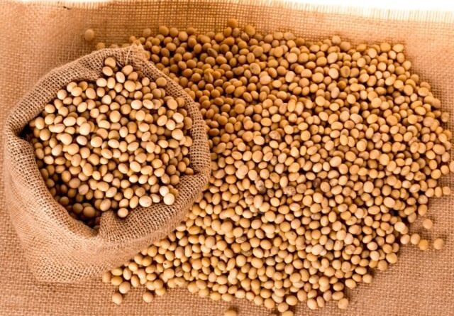 Soja enfrenta dificuldades no Brasil devido a mercado estagnado e pressão internacional