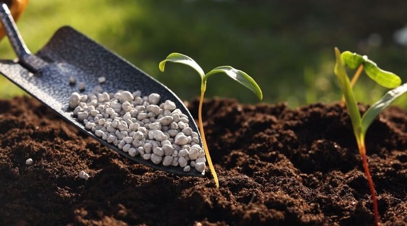 Tempestade perfeita ameaça Brasil com guerra e crise de fertilizantes