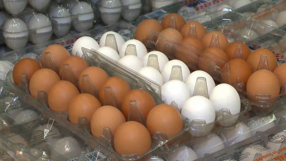 Produtor de ovos registra alta no poder de compra