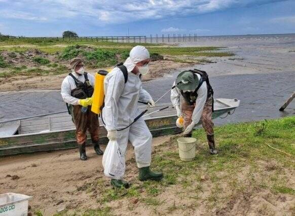 Vigilância Sanitária do RS intensifica ações contra gripe aviária na Região Sul