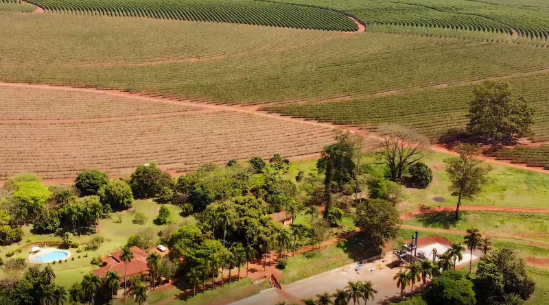 Acordo entre Google e ministério visa aumentar eficiência do CAR