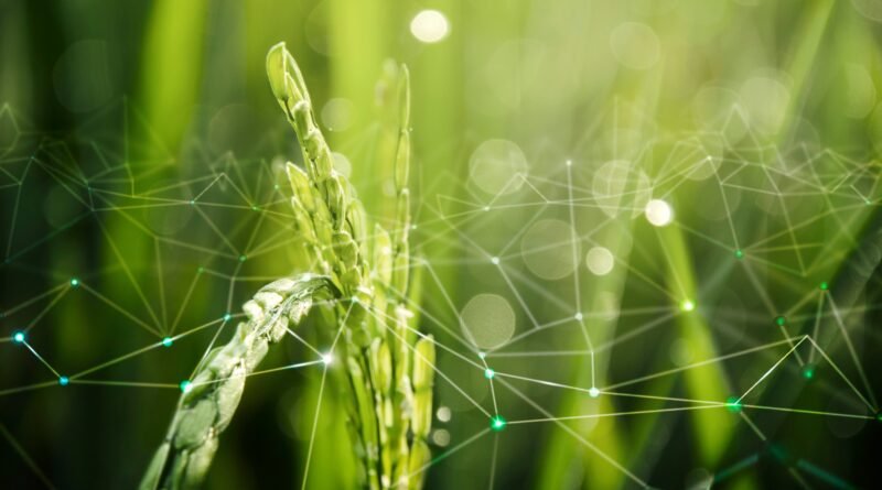 Agro brasileiro será destaque na nova fase da inteligência artificial, afirma empresa espanhola