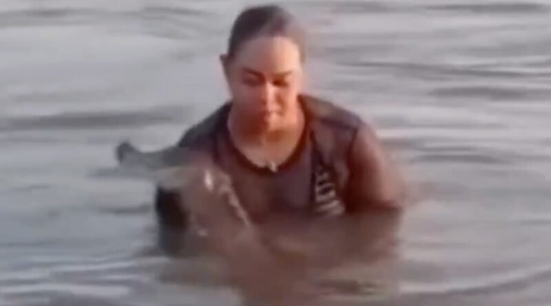 Banho na lagoa quase termina em tragédia após mulher confundir predador com tronco