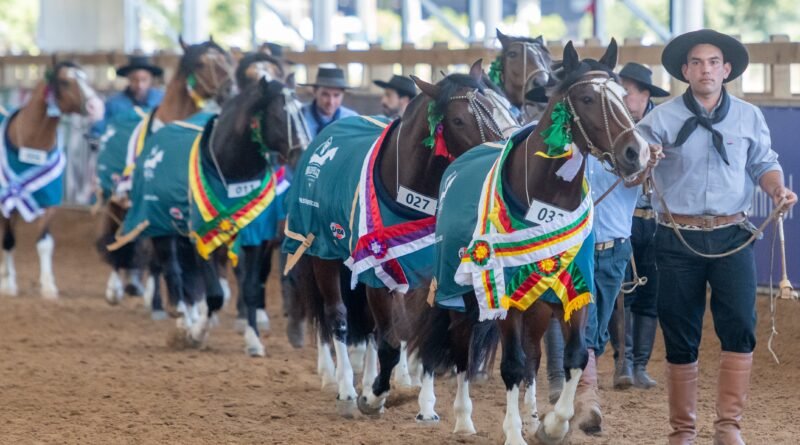 Bocal de Ouro inicia classificatórias nacionais para o Freio do ciclo 2026