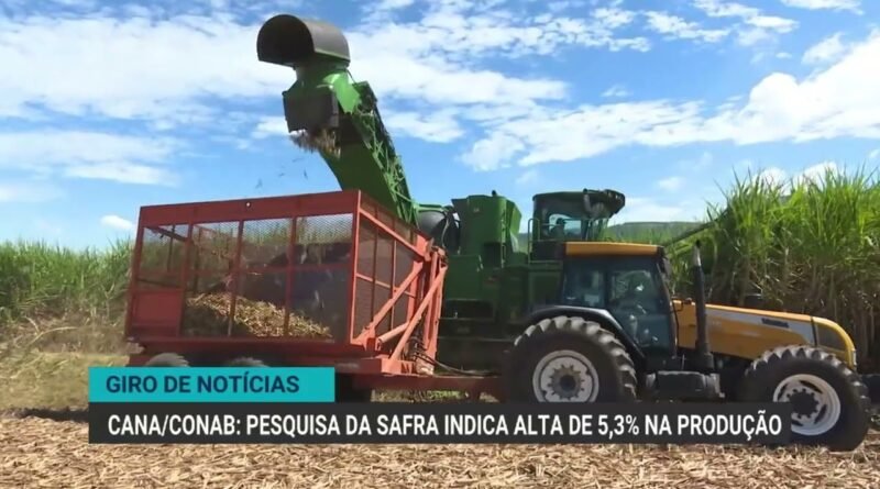 Brasil inicia exportação de uvas para o Azerbaijão