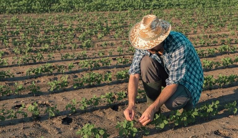 CNA pede simplificação do crédito rural e alterações nas normas ambientais