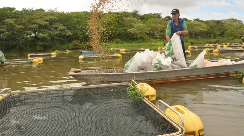 CNA pede suspensão de exigência de RGP para aquicultores