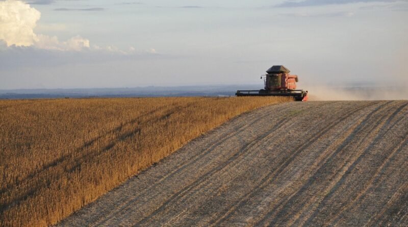 Crescimento de 12,2% no PIB do agronegócio em 2025 supera R$ 3,2 trilhões, revela Cepea/CNA