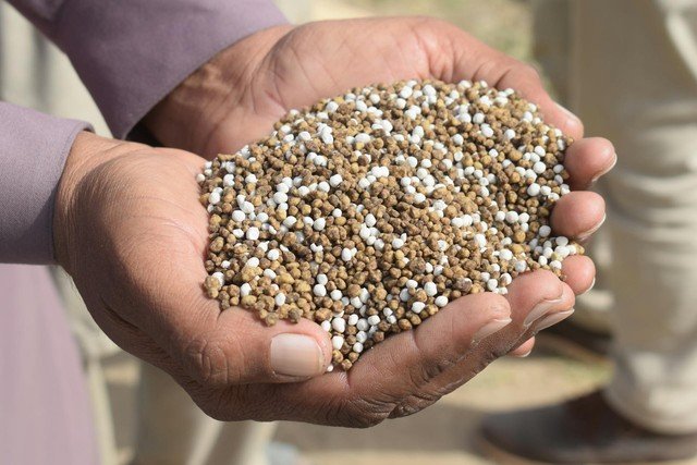 Crise dos fertilizantes: relatório aponta que quase metade do adubo importado provém de países em conflito