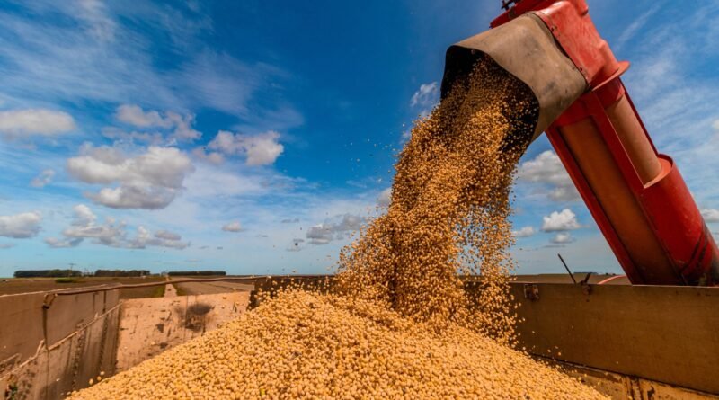 Evento reúne especialistas para debater avanço no cultivo de grãos em Roraima