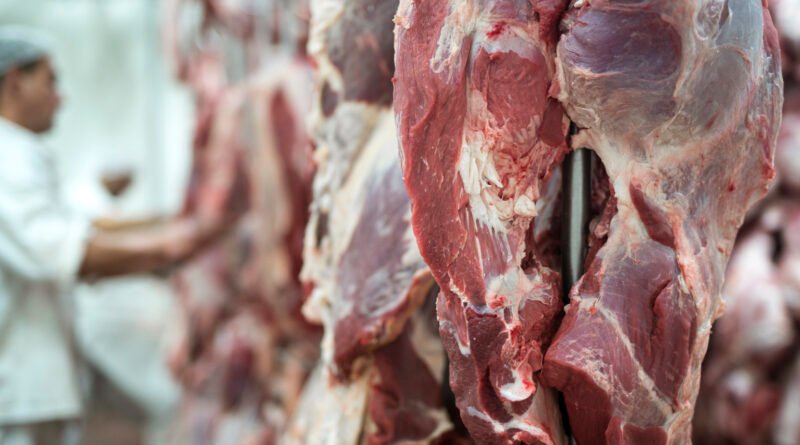 Exportações de carne bovina alcançam recorde e geram preocupação sobre cota chinesa