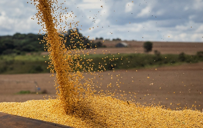 Geopolítica e energia influenciam preços dos grãos na safra 2026/27