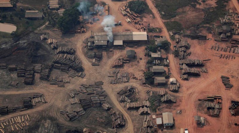 Governo dá início a projeto de R$ 1,4 bilhão para asfaltar BR-319 em meio a conflitos com Justiça e ambientalistas