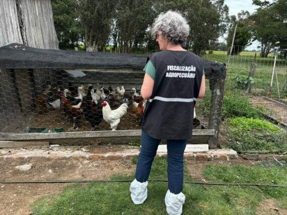 Governo gaúcho encerra foco de gripe aviária na Reserva Ecológica do Taim após quase dois meses