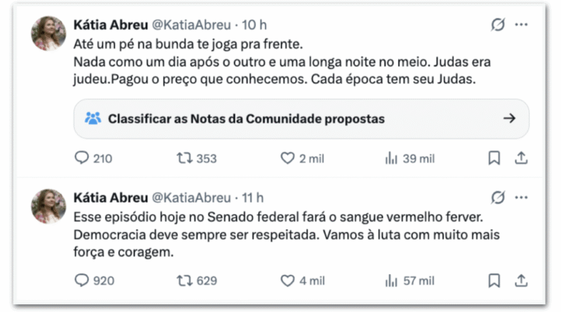 Kátia Abreu critica Alcolumbre e remove comentário polêmico