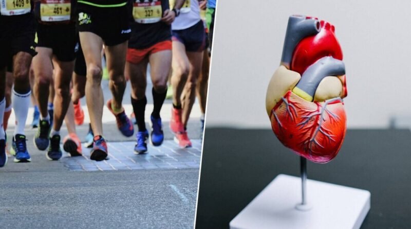 Maratonas deixam de ser vistas como perigosas após avanço no acompanhamento médico