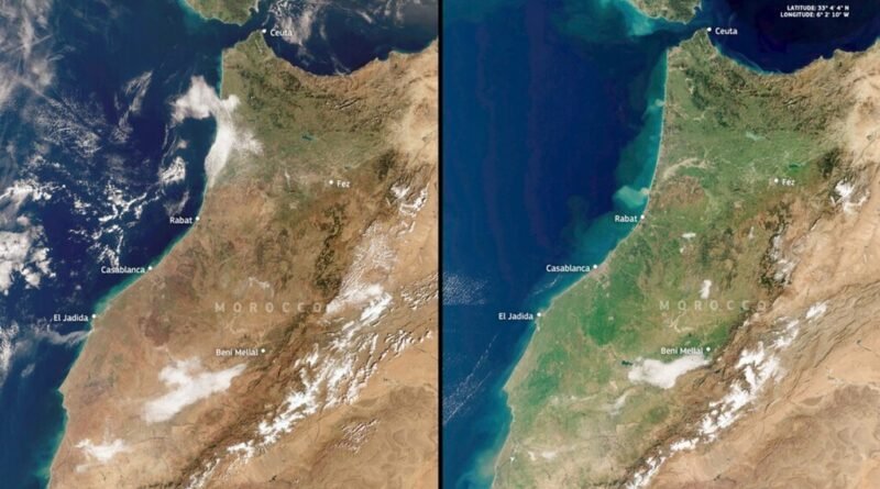 Marrocos registra aumento significativo na vegetação após intensa chuva, a melhor em uma década segundo imagens de satélite