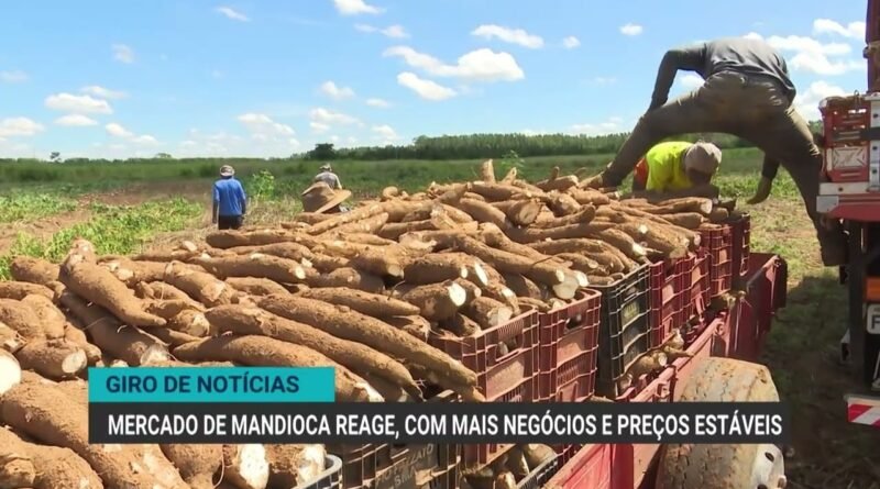 Mato Grosso registra recorde na exportação de carne bovina em 2026