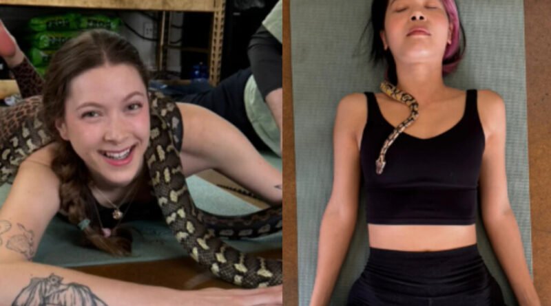 Nova tendência de bem-estar substitui yoga tradicional por práticas com animais exóticos para conexão com a natureza