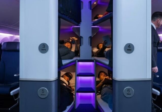 Nova Zelândia inova com 'cápsulas de soneca' na classe econômica, mas atenção: dormir de conchinha é proibido