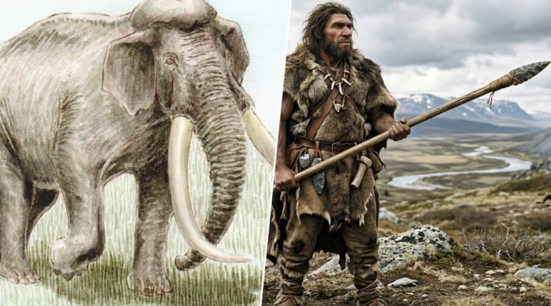 Novos estudos contestam a ideia de que neandertais eram necrófagos