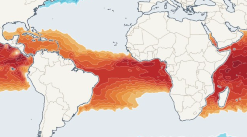 Oceanos em aquecimento: o maior desafio ambiental ignorado pela humanidade