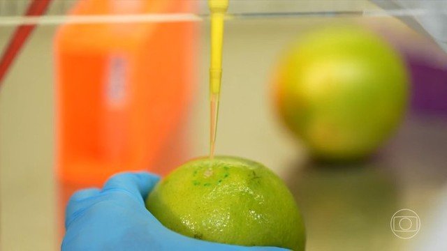 Pesquisadores brasileiros criam biodetergente que aumenta a durabilidade de frutas e legumes