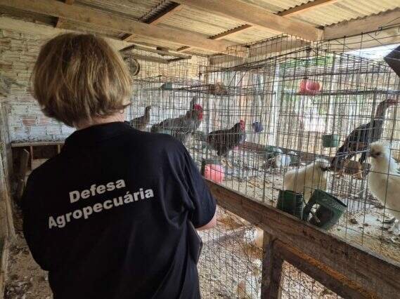 Reserva Ecológica do Taim é reaberta após controle da gripe aviária