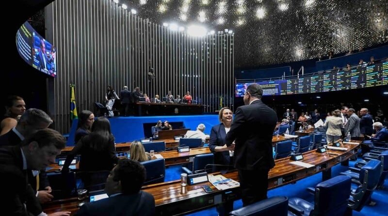 Senado discute marco da inteligência e padronização do cacau durante a semana