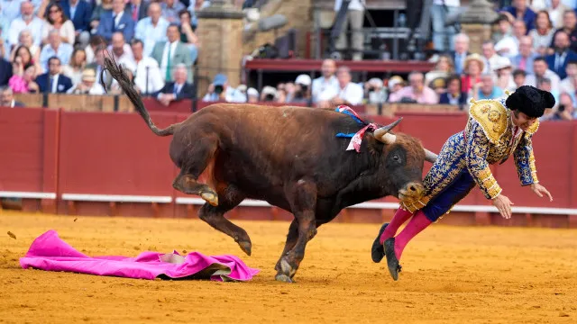 Toureiro famoso na Espanha sofre grave acidente com touro em Sevilha
