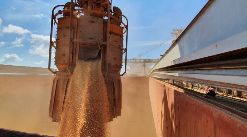 USDA deve revisar projeções e mercado brasileiro de soja concentra atenções no relatório