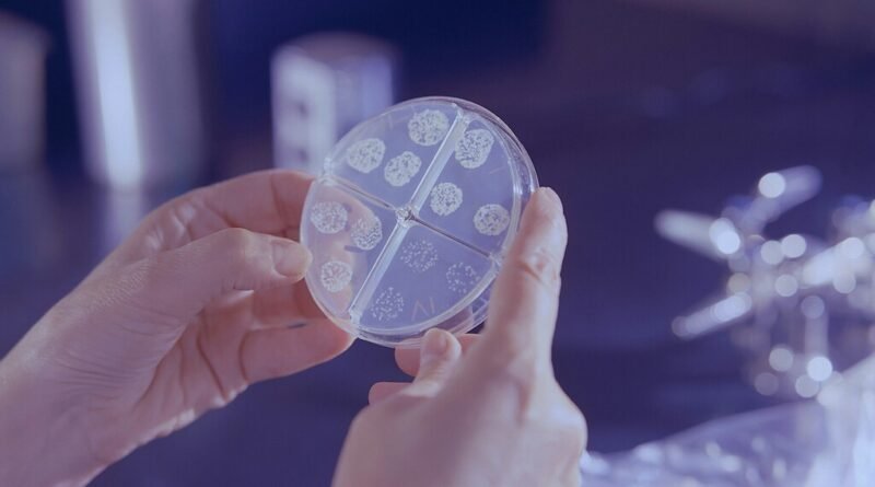 Vírus ancestrais contribuem para resistência bacteriana a antibióticos e facilitam infecções em outros organismos