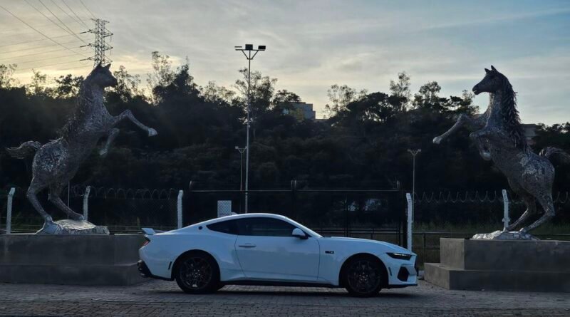 A origem dos nomes dos carros: Volkswagen Polo, Porsche 911 e Ferrari Daytona