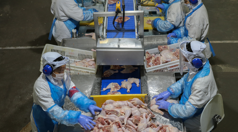 ABPA refuta denúncia de salmonella em carne de frango brasileira exportada para a Grécia