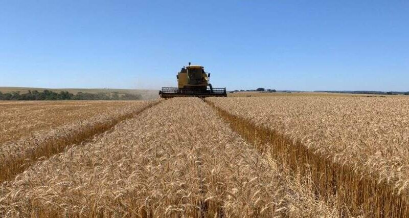Agronegócio gaúcho registra US$ 3,2 bilhões em exportações no primeiro trimestre