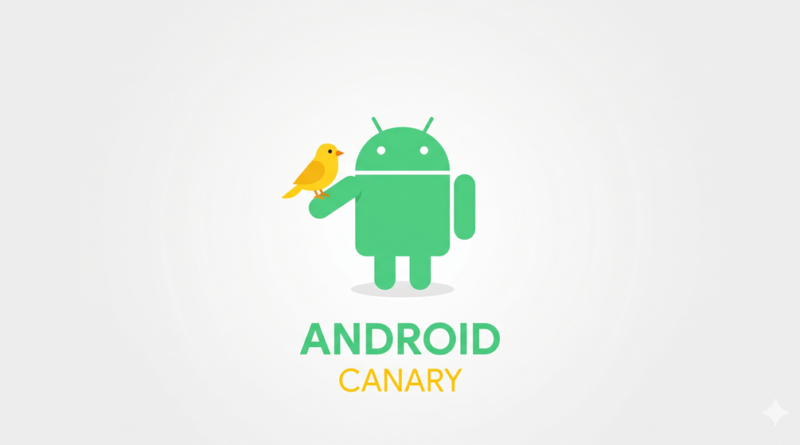 Android Canary: Entenda sua importância para o desempenho do seu celular