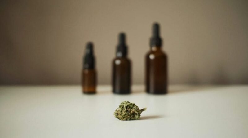 Anvisa autoriza exportação de cannabis medicinal