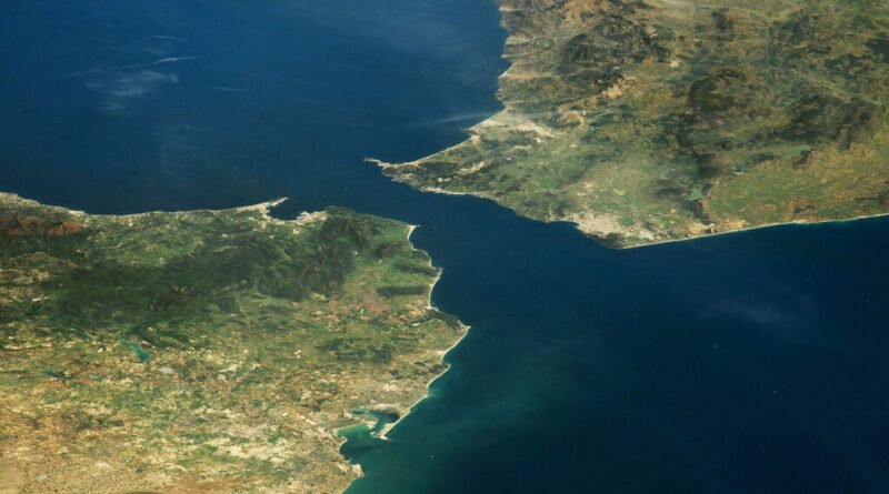 Barulho intenso dos navios faz baleias gritarem desesperadas debaixo d'água