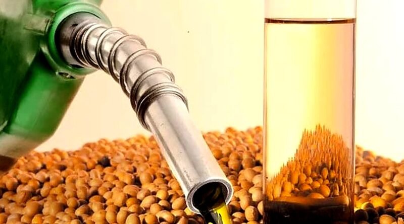 Biodiesel se destaca na crise do petróleo e pode prevenir escassez de diesel no Brasil