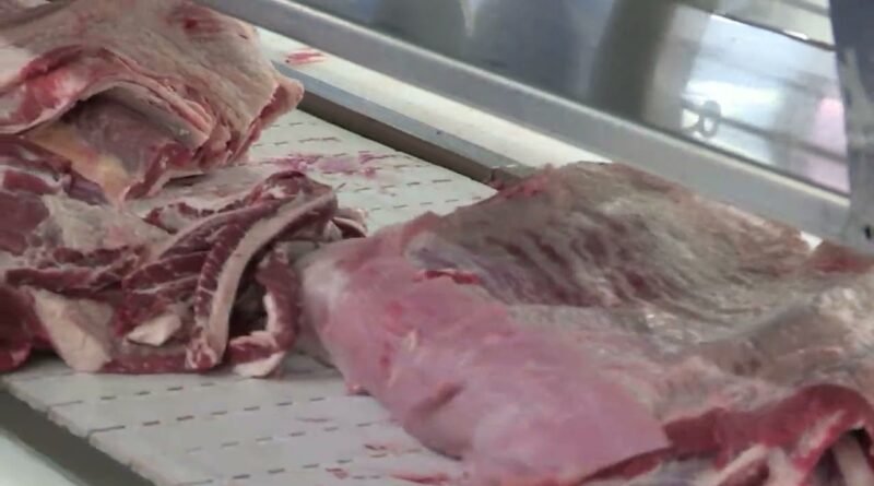 Carcaça bovina registra preço médio histórico em abril, aponta Cepea