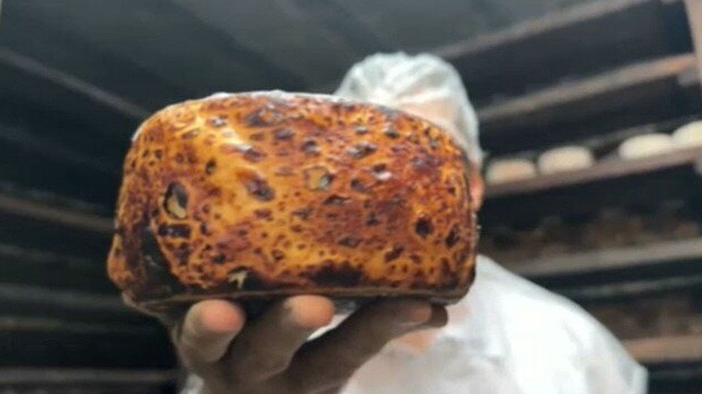 Caverna subterrânea e fungos naturais ajudam produtor goiano a criar queijos exclusivos