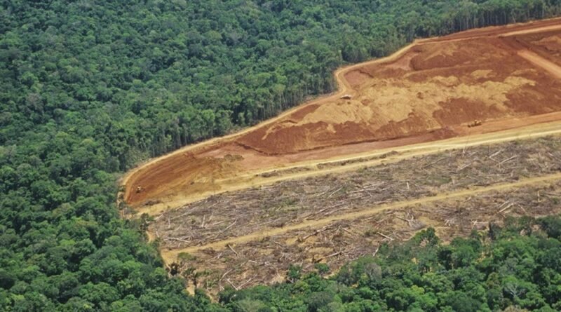 CMN prorrogou bloqueio ambiental no crédito rural até 2027