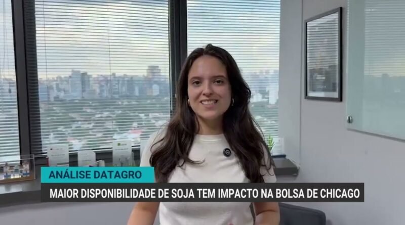 Colheita de soja no Brasil afeta mercado da bolsa de Chicago