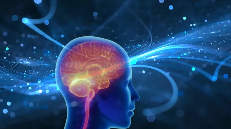 Comunicadores gaúchos marcam presença na Brain Week em Porto Alegre