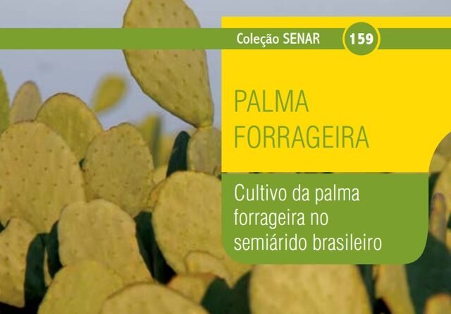 Cultivo da palma forrageira: técnicas e benefícios para a pecuária